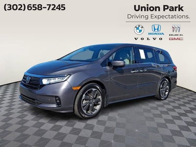 2024 Honda Odyssey Elite