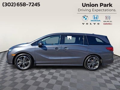 2024 Honda Odyssey Elite