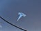 2020 Tesla Model 3 Performance