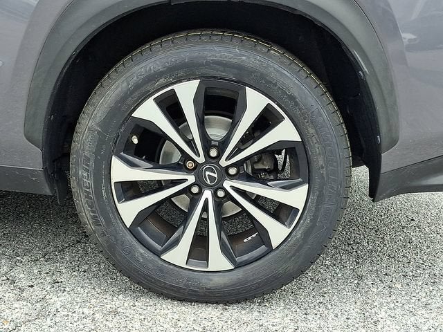 2021 Lexus NX 300 F SPORT